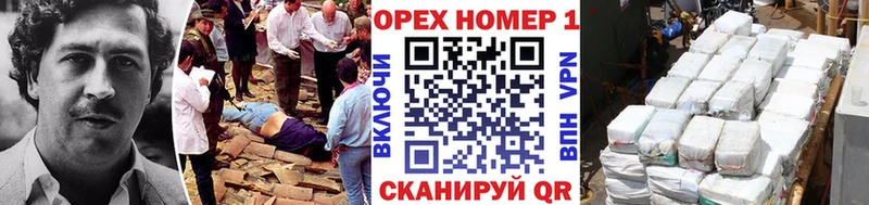 MEGA как войти  Орлов  Кокаин Fish Scale 