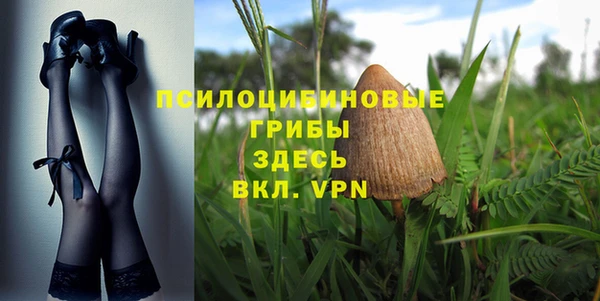 гашик Баксан