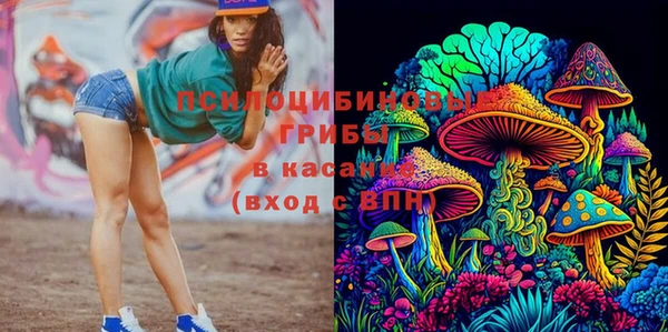 синтетический гашиш Арсеньев