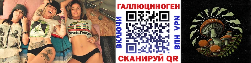 Псилоцибиновые грибы Psilocybe Орлов